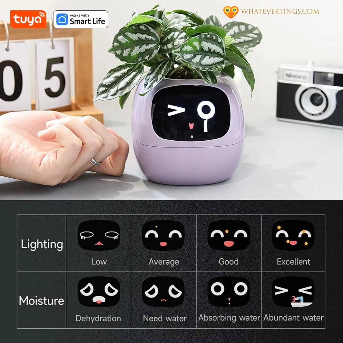 Ivy Smart Planter : 49 Expressions, AI Sensors & Chips for Easy Plant Care Consumer Electronics Color : Yellow|LightGreen|Light Pink|White|Purple Ivy Smart Planter : 49 Expressions, AI Sensors & Chips for Easy Plant Care Consumer Electronics Color : Yellow|LightGreen|Light Pink|White|Purple